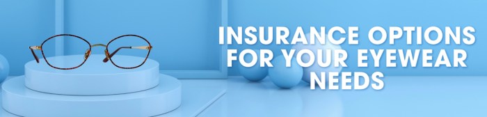 What does vision insurance cover?