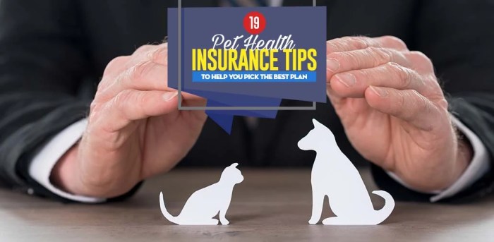 Routine care add-ons for pet insurance