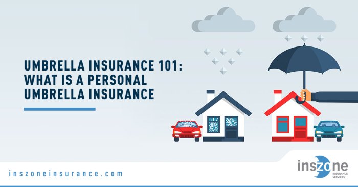 Umbrella insurance for homeowners