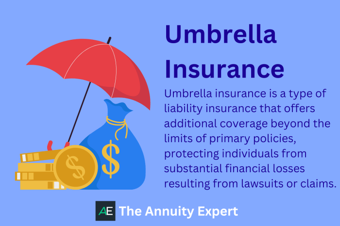 Umbrella Insurance Policy | Heritage Advises