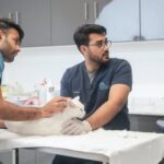 Emergency vet visit coverage
